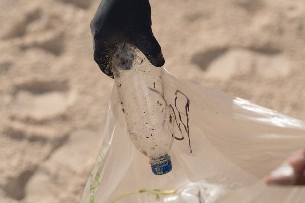 DSC07373-600x400 (1) DSC07373-600x400 (1)