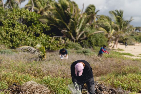 DSC07384-600x400 DSC07384-600x400