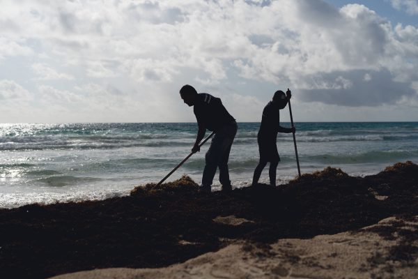 DSC07415-600x400 DSC07415-600x400