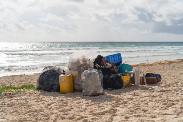 DSC07422-600x400 (1) DSC07422-600x400 (1)