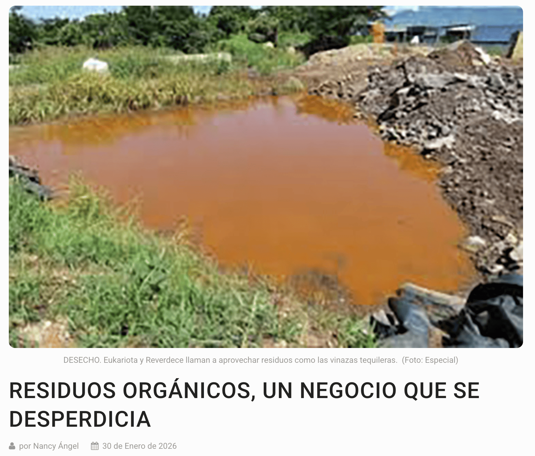 El Diario NTR: Residuos orgánicos, un negocio que se desperdicia – Eukariota y Reverdece AC –
